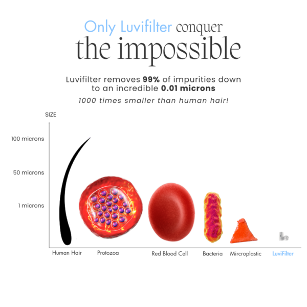 LuviFilter <br>Facial Filter Refill - Image 2